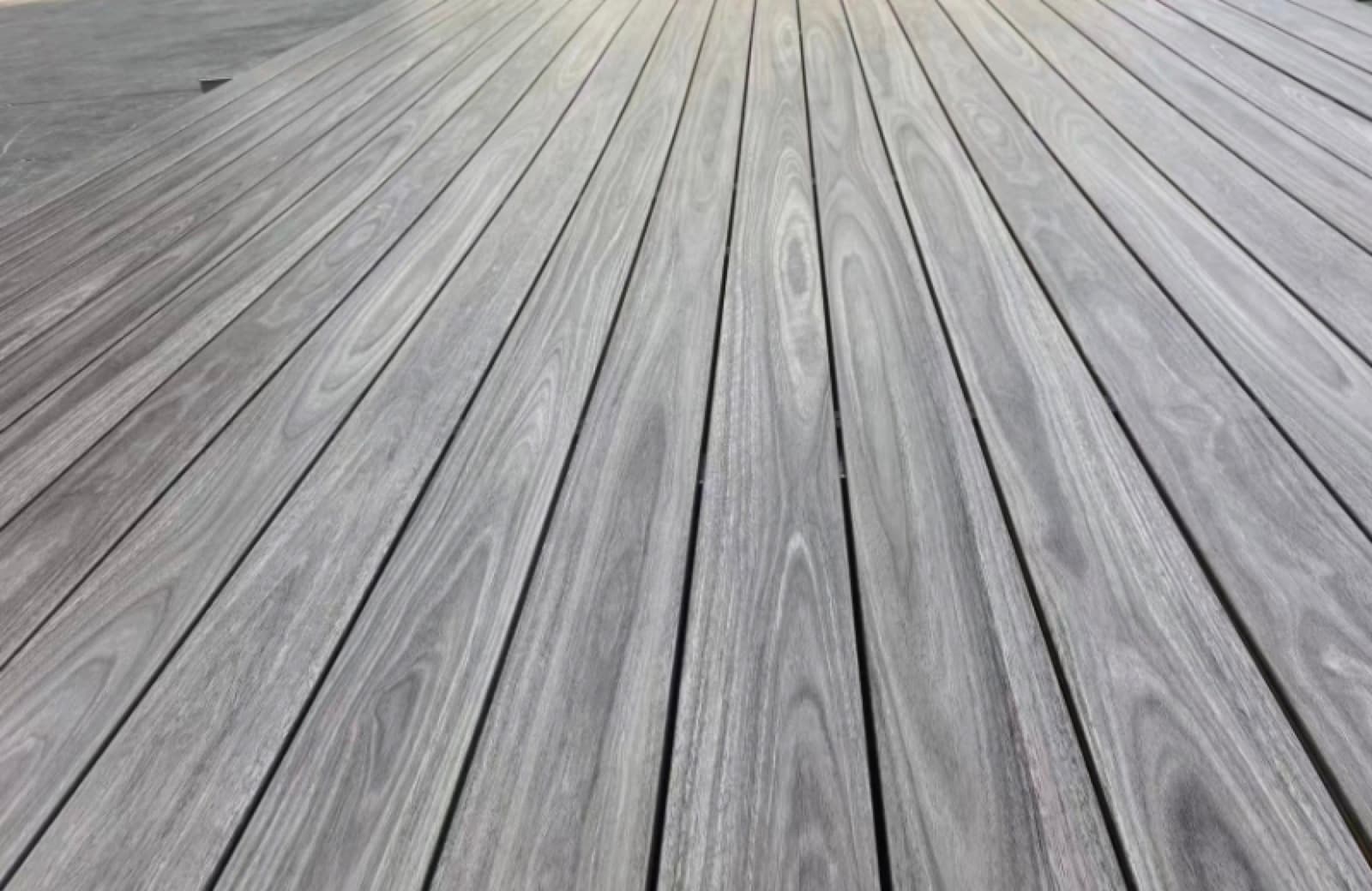 Origin Greyed Spotted Gum