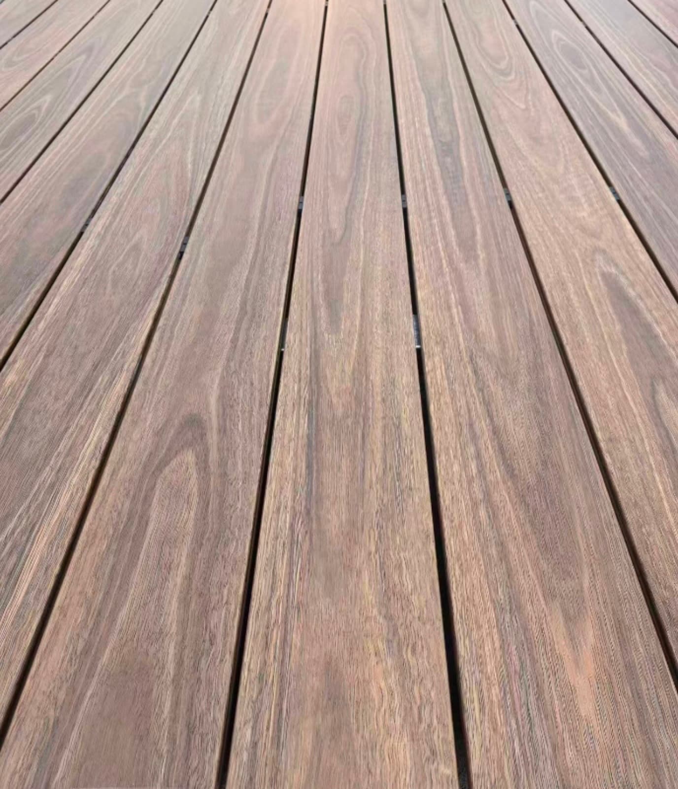 Origin Spotted Gum